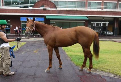 �ͻ���� ����