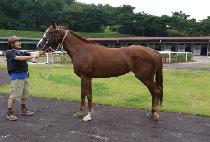 õ�� (Cheonmang) ����