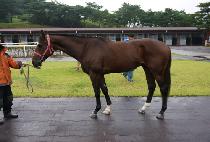 ����ȭ�� (ILJIN HWARANG) ����