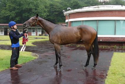 �����ε�� ����