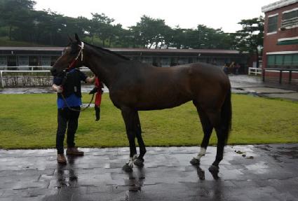 �ݾƺ��丮�� ����