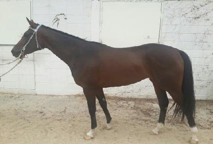 ���Ǵ�ȭ ����