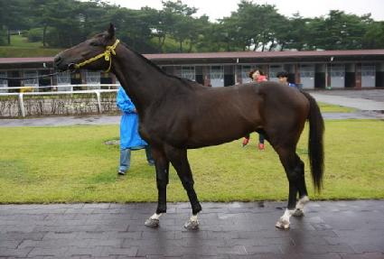 �ݾƼ����� ����