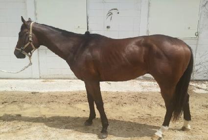 �޴ٱ۷θ��� ����