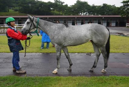 ������ȭ ����