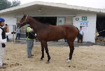 �������̴� (SAMJEONG RIDER) ����