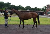 ������ȣ (JINMYEONG GANGHO) ����