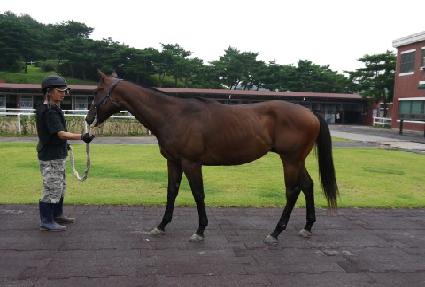 ������ȣ ����