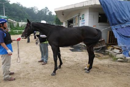 �������� ����