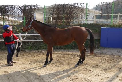 ��ŷ���� ����