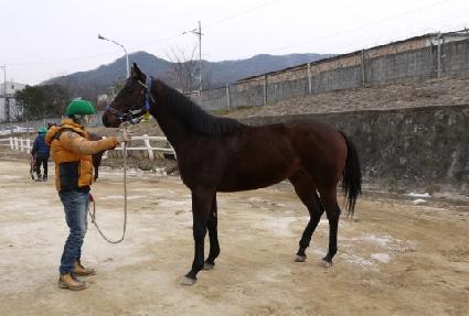 �������� ����