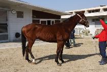 ��ġ���� (TOUCH LOVE) ����