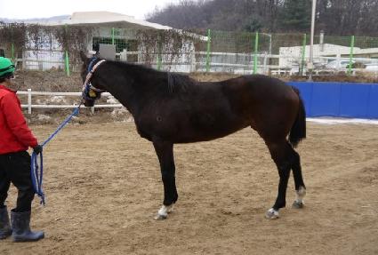 ���ӱ� ����