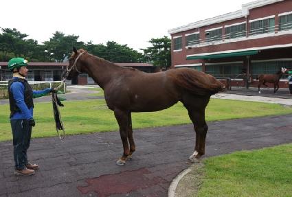 ������ɰ� ����