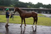 ������������ (EVER MY JOY) ����