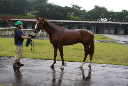 ������������ ����