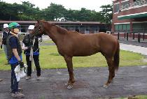 �������ǵ��� (EVER HAPPY DAY) ����