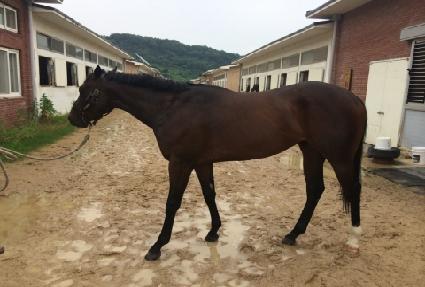 ����׷��̽� ����