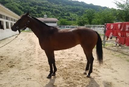 ������Ƽ����Ʈ�� ����