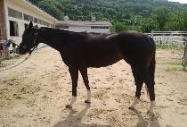 �ٷ������� (BARRETTES MARINE) ����