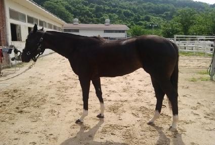 �ٷ������� ����