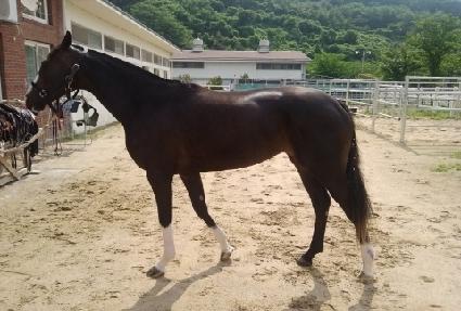 ��Ų���� ����