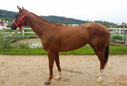 �����Ǹ��� ����