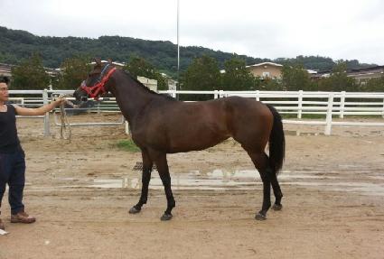 ����� ����