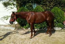 ���ϼ��� (RETURN SERVICE) ����