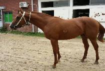 ������ȭ (GAMUN SINHWA) ����