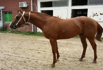 ������ȭ ����