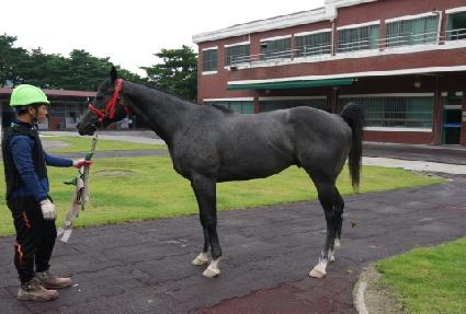 ����ū�� ����