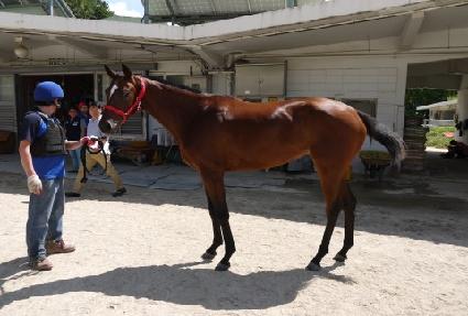 ����ǹٶ� ����