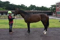 Ȳ����ġ (HWANGGEUM PITCH) ����