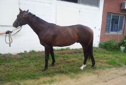 �����¸� ����