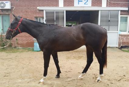 ���̺��÷��� ����