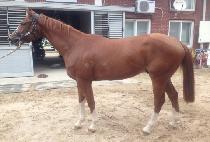 ��Ű���� (LUCKY GANGJA) ����