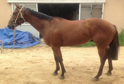 ���۷�Ʈ���� ����