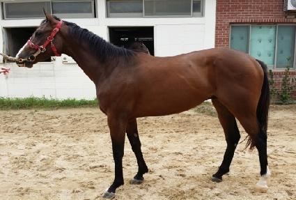 ĳ�������ǳ ����