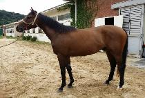 ������������ (MARVELOUS BOY) ����