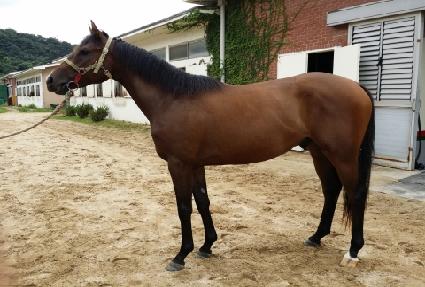 ������������ ����