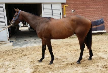 ���޴����̳� ����