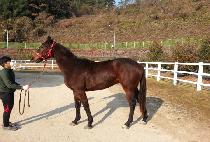 ����������� (YOU��RE HILARIOUS) ����