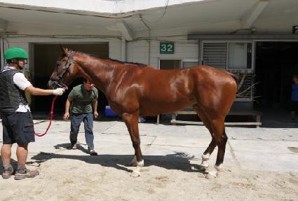 �̽�Ʈ�� ����