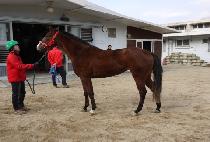 �긮���ֳ� (BRIDGETANNA) ����