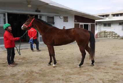 �긮���ֳ� ����