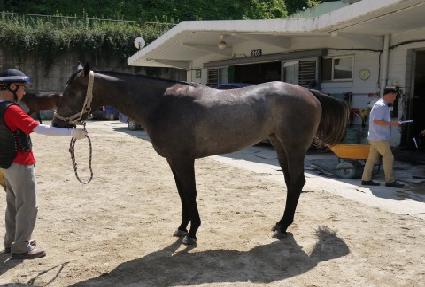 ������������ ����