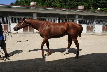 ����Ͽ콺 (USEUNG HOUSE) ����