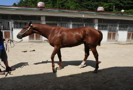 ����Ͽ콺 ����