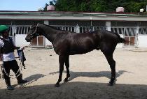 �����ǳ (KWAESOK JILPUNG) ����